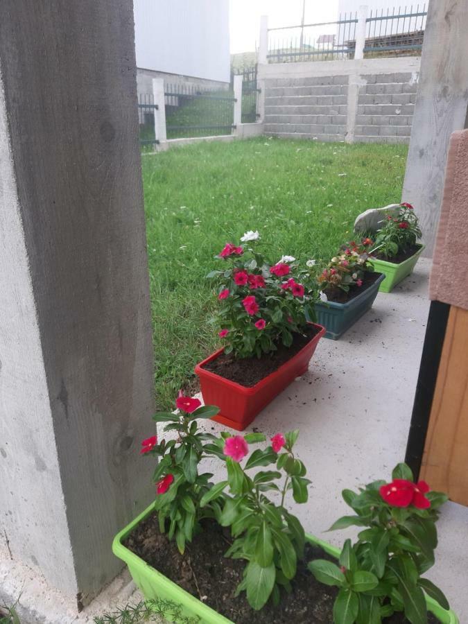 Apartments Andriyana Žabljak Buitenkant foto